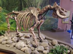 -陕西自然博物馆