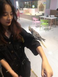 -Moni星球萌宠·小马宝莉·灵蛇·高端高阶全萌宠互动体验俱乐部(红豆国际广场店)