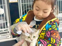 -翊宠yipet猫狗购宠庄园犬舍•猫舍
