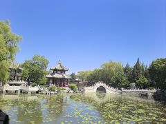-莲池书院博物馆