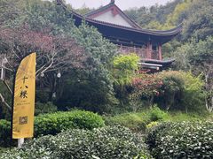 -十八棵（老龙井）御茶园(老龙井店)