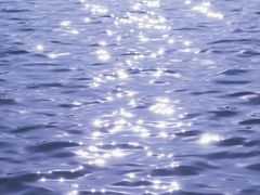 -济南国际园博园