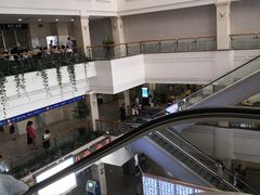 -上海市东方医院(总院)