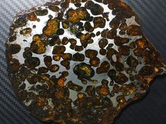 -吉林市博物馆