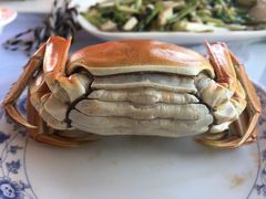 -乡乐园蟹庄·阳澄湖农家乐