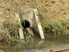 -嘉北郊野公园