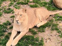 -北京野生动物园