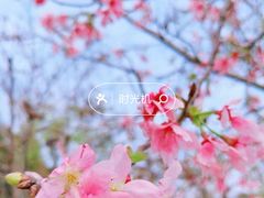 -晓港公园