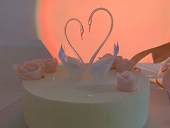 -BLACKSWAN黑天鹅(新希望店)