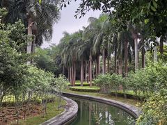 -南宁南湖公园