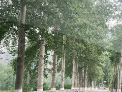 -百里山水画廊乌龙峡谷