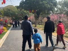 -无锡梅园公园
