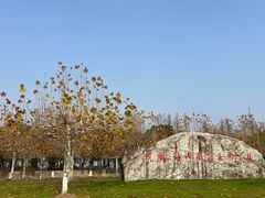 -上海海湾国家森林公园