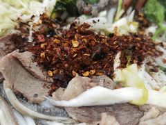 -攀枝花·任德琼·盐边羊肉米线
