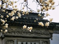 -耦园