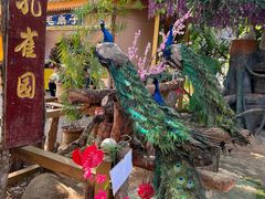 -西双版纳勐泐文化旅游区