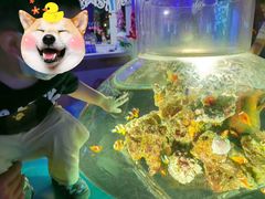 -华夏文旅海洋公园