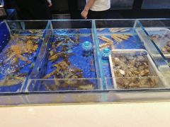 水产区-顺风江南宴(静安大融城店)