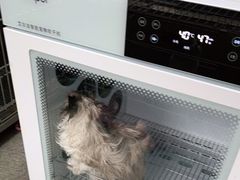 -安安宠医·安宠宠物医院