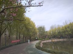 -禹州森林植物园