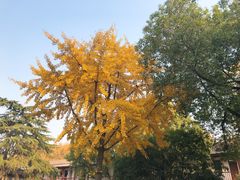 -中共五大会址纪念馆