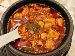 -陈麻婆豆腐总店