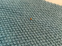 -林栖谷森林康养度假区