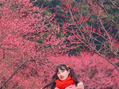 -重庆彩云湖湿地公园