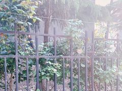 -郑州枫杨外国语学校