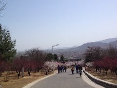 -北京鹫峰国家森林公园