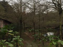 -田野绿世界