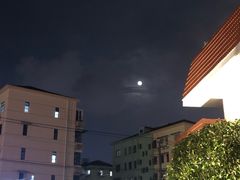 -上海财经大学-绿叶食堂