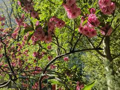 -中国人民解放军总医院