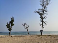 -西涌国际滨海旅游区