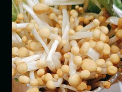 -蜀九香火锅(彩虹店)