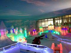 -世界之窗阿尔卑斯冰雪世界