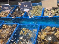 -御品海宴海鲜自助餐厅(龙岗万科广场店)