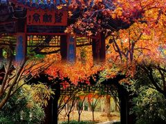 -香山公园