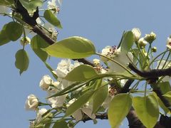 -白沙门生态公园