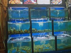 水产区-老东镇啤酒屋海鲜加工·蒸汽海鲜·海鲜烧烤(台东店)