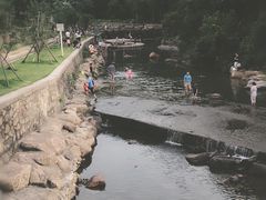 -北仑森林植物园