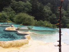 -黄龙山原始森林景区
