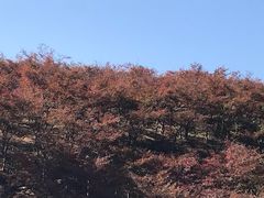 -天河潭旅游度假区