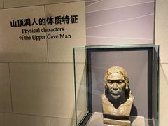-北京周口店北京人遗址博物馆