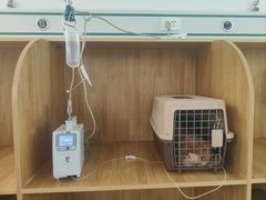-美联众合动物医院·24h京西诊疗中心