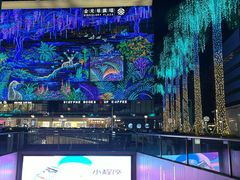 -金光华广场