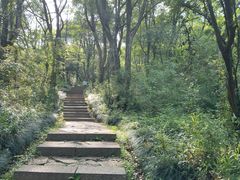 -杭州半山国家森林公园