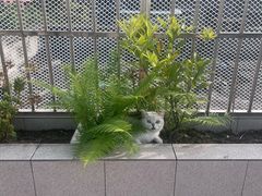 -半岛宠物医院24小时(白果林店)
