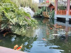 -香麒园·过桥米线·南湖雅宴