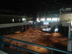 -自贡恐龙博物馆